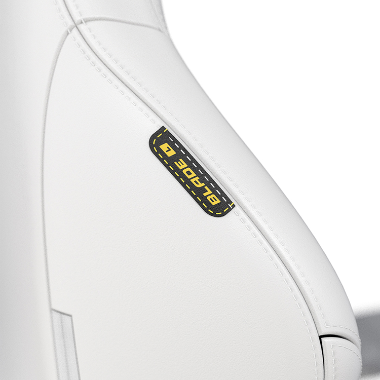 DXRACER 電競賽車椅 利刃 (6D扶手/皮面白色)