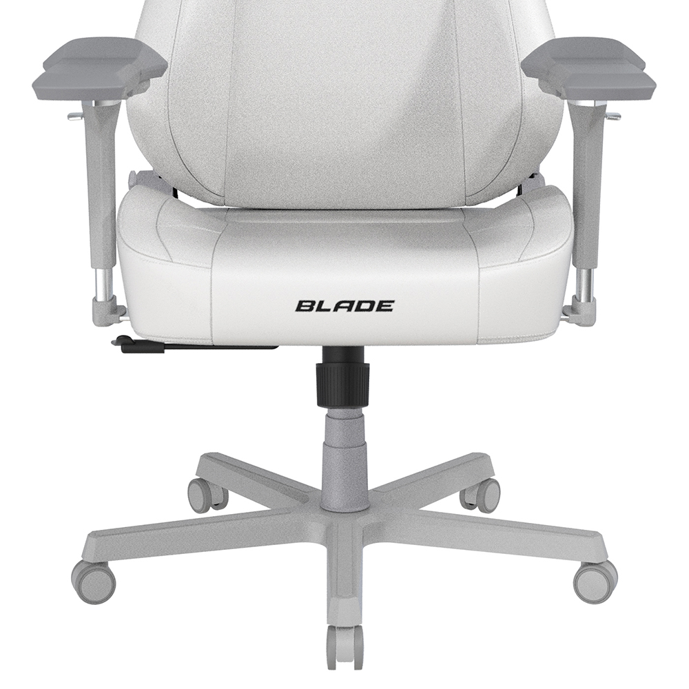 DXRACER 利刃豪華款 電競賽車椅(6D扶手/皮面白色)